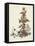 Shrunken Alice and the Puppy by a Giant Thistle.-Gwynedd Hudson-Framed Stretched Canvas