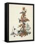 Shrunken Alice and the Puppy by a Giant Thistle.-Gwynedd Hudson-Framed Stretched Canvas