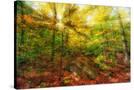 Stretched Canvas