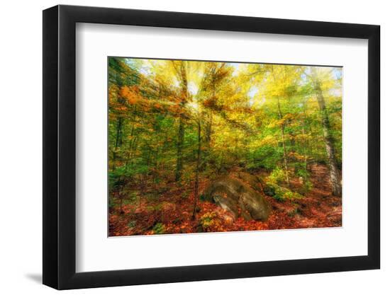 Premium Photographic Print, , large