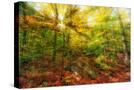 Stretched Canvas