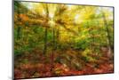 Wood Mount