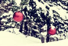 Christmas Ball Hanging on A Spruce Tree - Retro-SHS Photography-Photographic Print