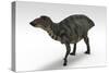 Shuangmiaosaurus Dinosaur, White Background-null-Stretched Canvas