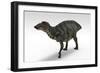 Shuangmiaosaurus Dinosaur, White Background-null-Framed Art Print