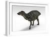 Shuangmiaosaurus Dinosaur, White Background-null-Framed Art Print