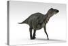 Shuangmiaosaurus Dinosaur, White Background-null-Stretched Canvas