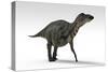 Shuangmiaosaurus Dinosaur, White Background-null-Stretched Canvas