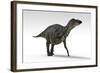 Shuangmiaosaurus Dinosaur, White Background-null-Framed Art Print