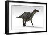 Shuangmiaosaurus Dinosaur, White Background-null-Framed Art Print