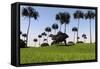 Shuangmiaosaurus Walking across a Grassy Field-null-Framed Stretched Canvas