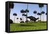 Shuangmiaosaurus Walking across a Grassy Field-null-Framed Stretched Canvas