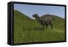 Shuangmiaosaurus Walking across a Grassy Field-null-Framed Stretched Canvas