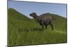 Shuangmiaosaurus Walking across a Grassy Field-null-Mounted Art Print