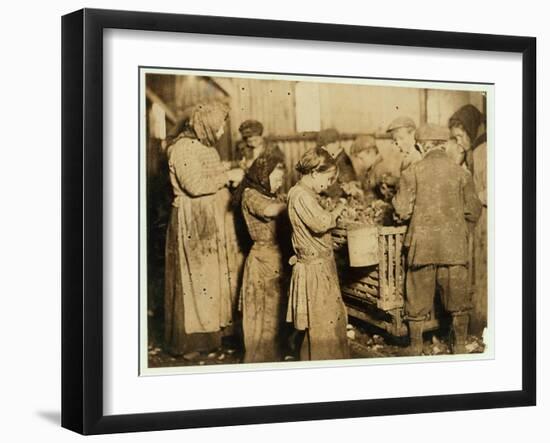 Shuckers Aged About 10 Opening Oysters in the Varn and Platt Canning Company-Lewis Wickes Hine-Framed Premium Photographic Print