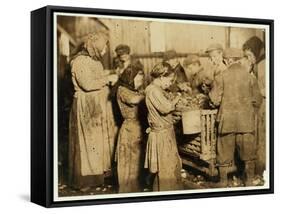 Shuckers Aged About 10 Opening Oysters in the Varn and Platt Canning Company-Lewis Wickes Hine-Framed Stretched Canvas