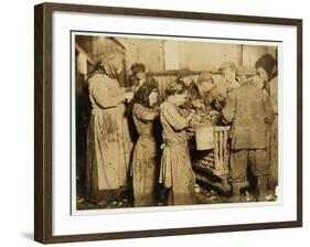 Shuckers Aged About 10 Opening Oysters in the Varn and Platt Canning Company-Lewis Wickes Hine-Framed Photographic Print