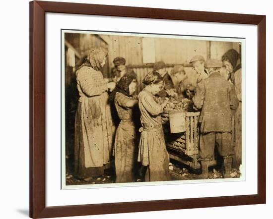 Shuckers Aged About 10 Opening Oysters in the Varn and Platt Canning Company-Lewis Wickes Hine-Framed Photographic Print