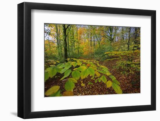 Shudder-Viviane Fedieu Daniel-Framed Photographic Print