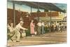 Shuffleboard, St. Petersburg, Florida-null-Mounted Art Print