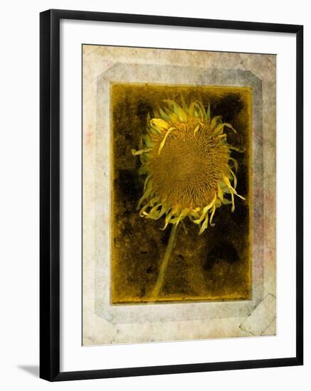 Shuffleopia-Craig Satterlee-Framed Photographic Print