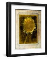 Shuffleopia-Craig Satterlee-Framed Photographic Print