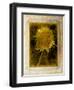 Shuffleopia-Craig Satterlee-Framed Photographic Print