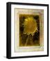 Shuffleopia-Craig Satterlee-Framed Photographic Print