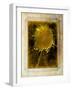 Shuffleopia-Craig Satterlee-Framed Photographic Print