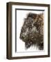 Shuffleware-Craig Satterlee-Framed Photographic Print