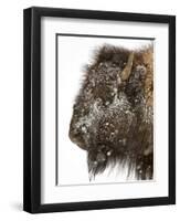 Shuffleware-Craig Satterlee-Framed Photographic Print