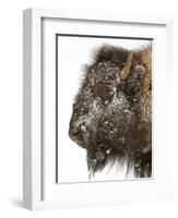 Shuffleware-Craig Satterlee-Framed Photographic Print