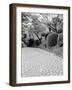 Shukkei-En Garden Detail, Japan-Walter Bibikow-Framed Photographic Print