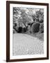 Shukkei-En Garden Detail, Japan-Walter Bibikow-Framed Photographic Print