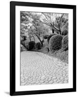 Shukkei-En Garden Detail, Japan-Walter Bibikow-Framed Photographic Print