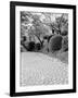 Shukkei-En Garden Detail, Japan-Walter Bibikow-Framed Photographic Print