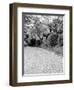 Shukkei-En Garden Detail, Japan-Walter Bibikow-Framed Photographic Print