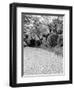 Shukkei-En Garden Detail, Japan-Walter Bibikow-Framed Photographic Print