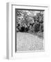 Shukkei-En Garden Detail, Japan-Walter Bibikow-Framed Photographic Print