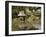 Shukkeien Garden, Hiroshima, Japan-Richardson Rolf-Framed Photographic Print