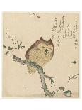 Owl on a Magnolia Branch, c. 1890- 1900-Kubota Shunman, Shunchôtei, Senshunan-Art Print