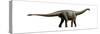 Shunosaurus, a Genus of Sauropod Dinosaur from Middle Jurassic-null-Stretched Canvas