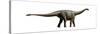 Shunosaurus, a Genus of Sauropod Dinosaur from Middle Jurassic-null-Stretched Canvas