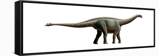 Shunosaurus, a Genus of Sauropod Dinosaur from Middle Jurassic-null-Framed Stretched Canvas