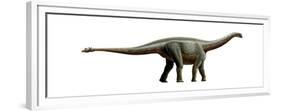 Shunosaurus, a Genus of Sauropod Dinosaur from Middle Jurassic-null-Framed Premium Giclee Print