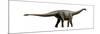 Shunosaurus, a Genus of Sauropod Dinosaur from Middle Jurassic-null-Mounted Premium Giclee Print