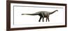 Shunosaurus, a Genus of Sauropod Dinosaur from Middle Jurassic-null-Framed Art Print