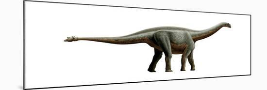 Shunosaurus, a Genus of Sauropod Dinosaur from Middle Jurassic-null-Mounted Art Print