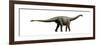 Shunosaurus, a Genus of Sauropod Dinosaur from Middle Jurassic-null-Framed Art Print