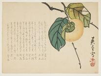 Daikon Radish, January 1864-Shunsei-Framed Premium Giclee Print